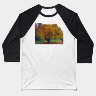 Autumn Tree in Switzerland Baseball T-Shirt